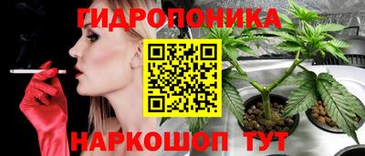 мяу мяу мука Пугачёв