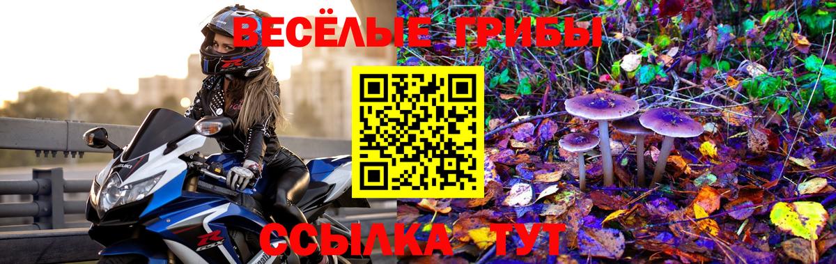 Псилоцибиновые грибы мицелий  Вход с VPN  Отрадный 